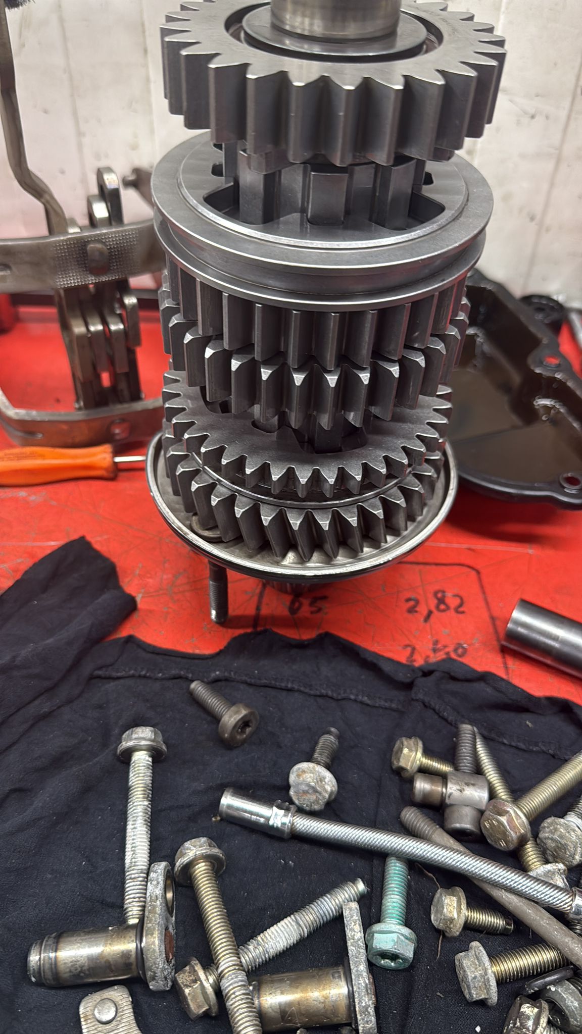 WhatsApp Image 2026-01-23 at 11.33.57