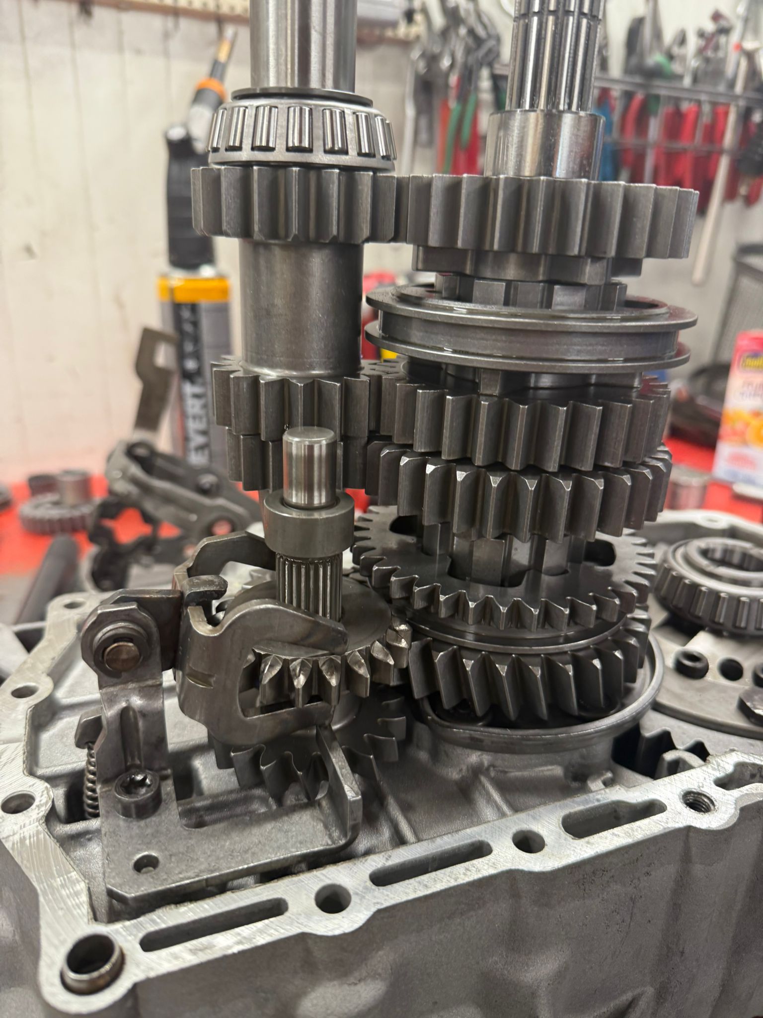 WhatsApp Image 2026-01-23 at 11.33.58